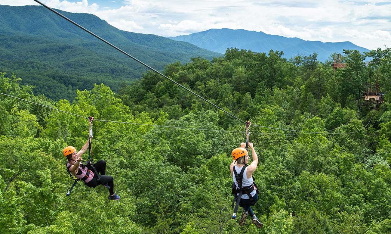 Dual racing zipliners soar over the tree canopy