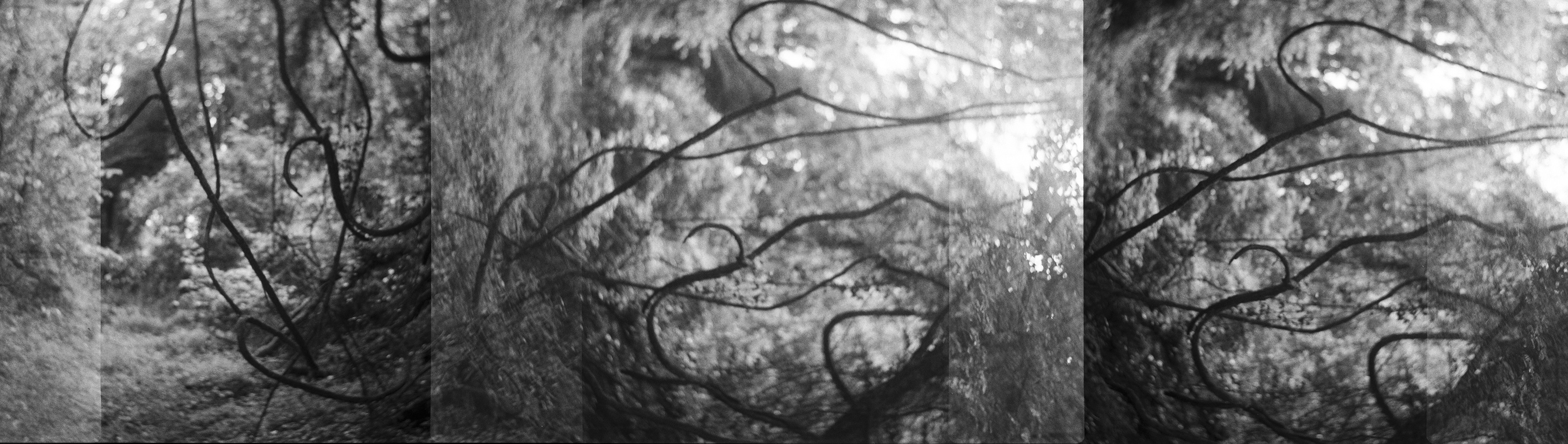 Artistic cityscape photography print