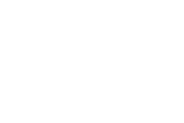 Logo for an imagined company