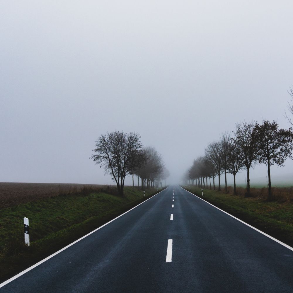 Un camino al cuidado medioambiental