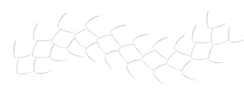 Scales