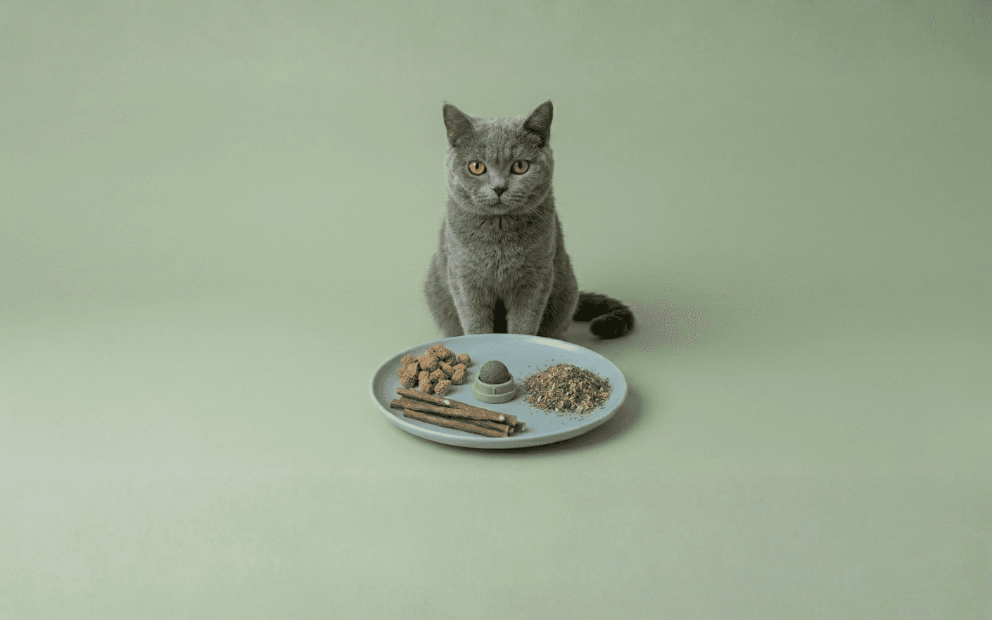 The image featured at the top of the about us page #1