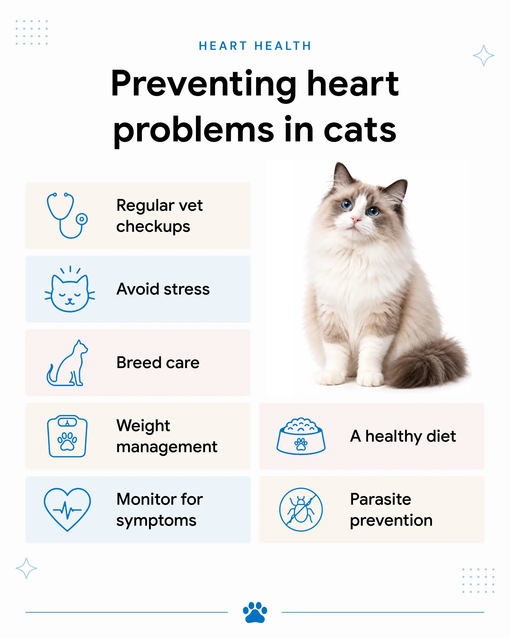 An infographic showing the many ways to prevent heart problems in cats.