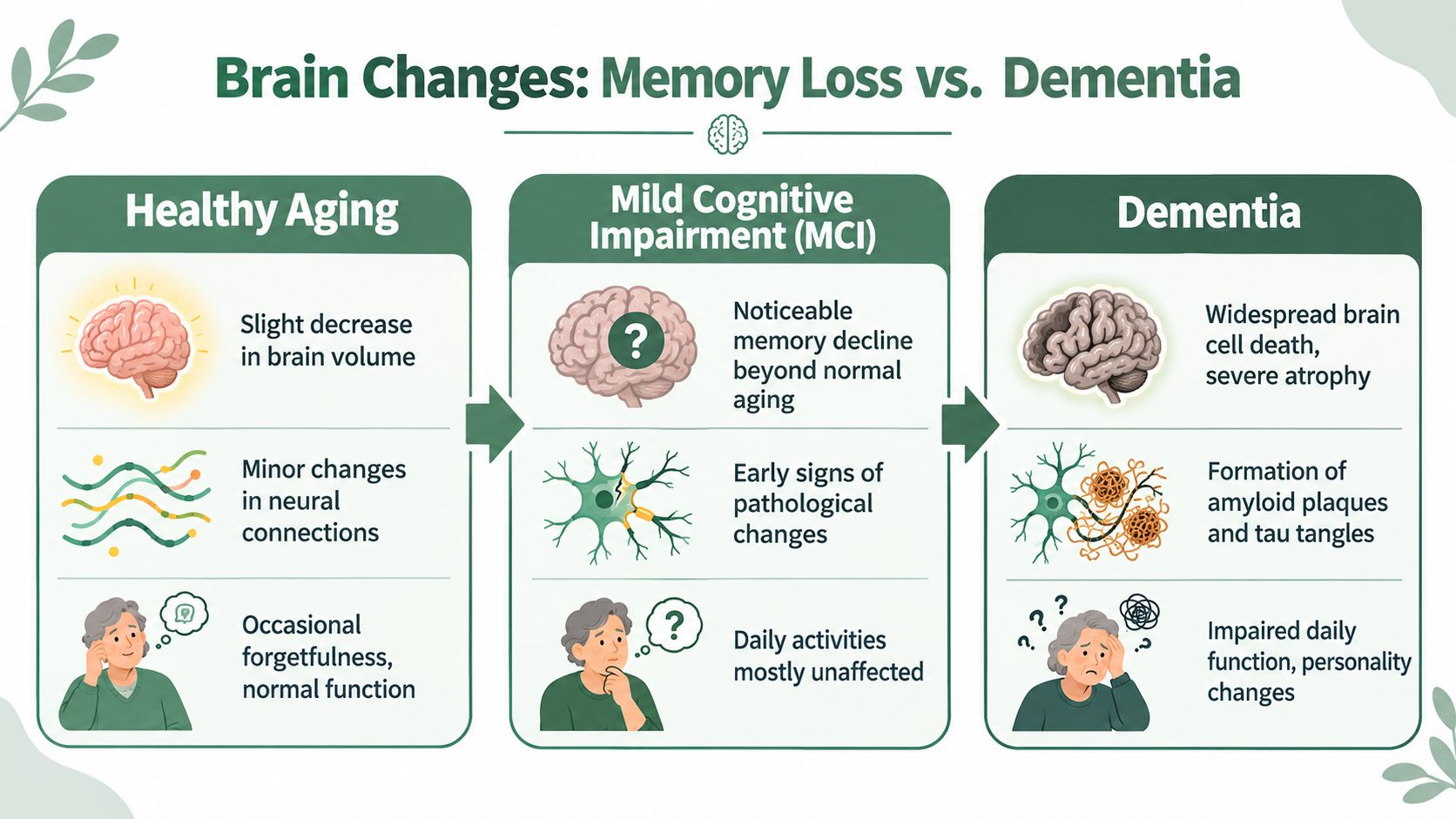 An infographic comparing brain changes during healthy aging, mild cognitive impairment, and dementia with detailed visual illustrations.