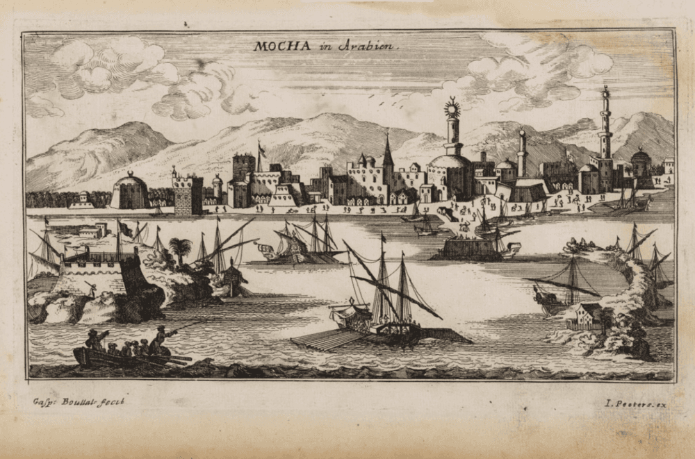 https://commons.wikimedia.org/wiki/File:Mocha1692.jpg