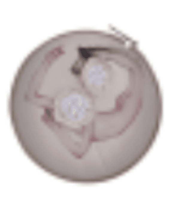 herd of sheep on road painting