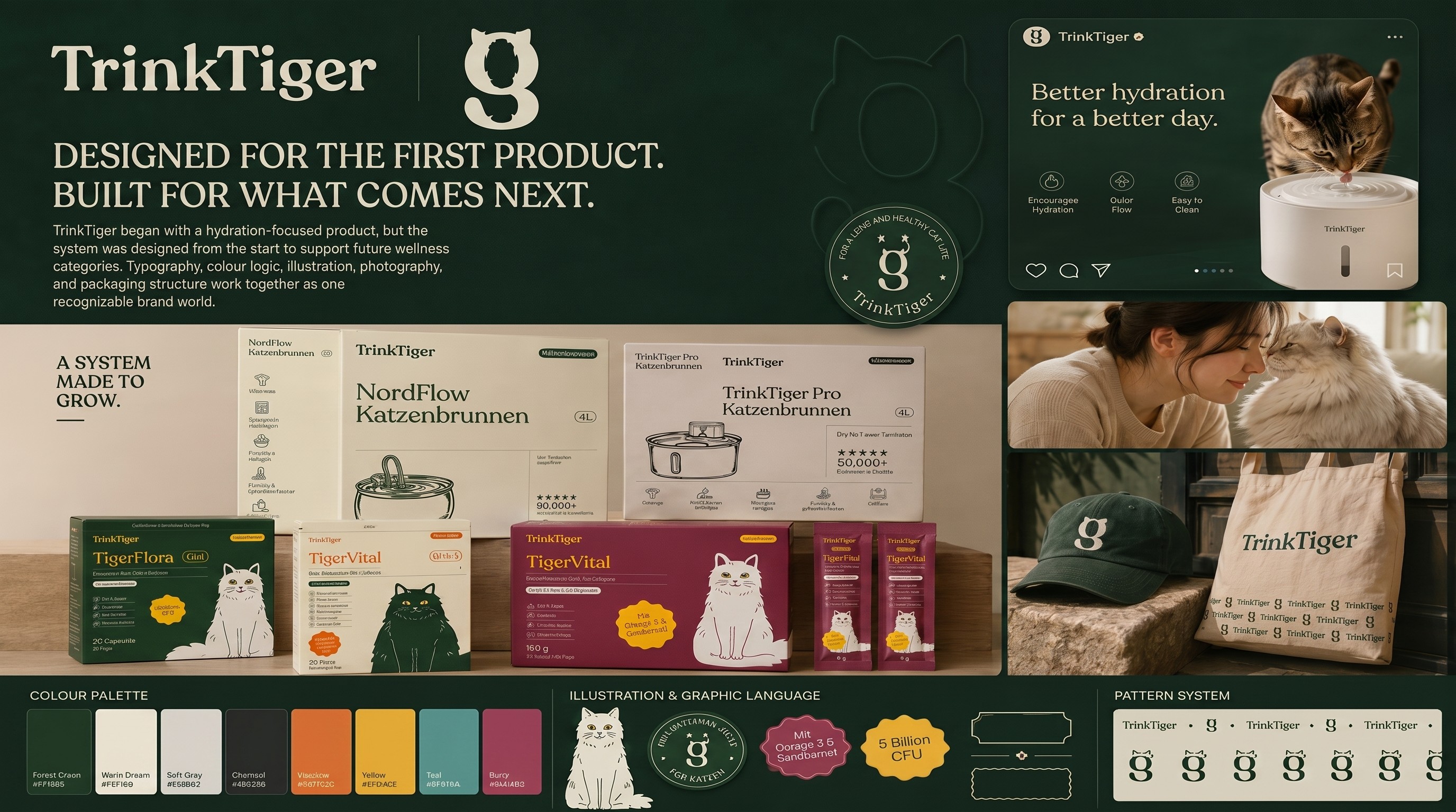 Strategic brand positioning for cat wellness category
