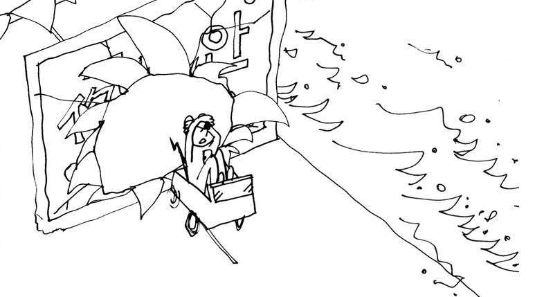 car illustration