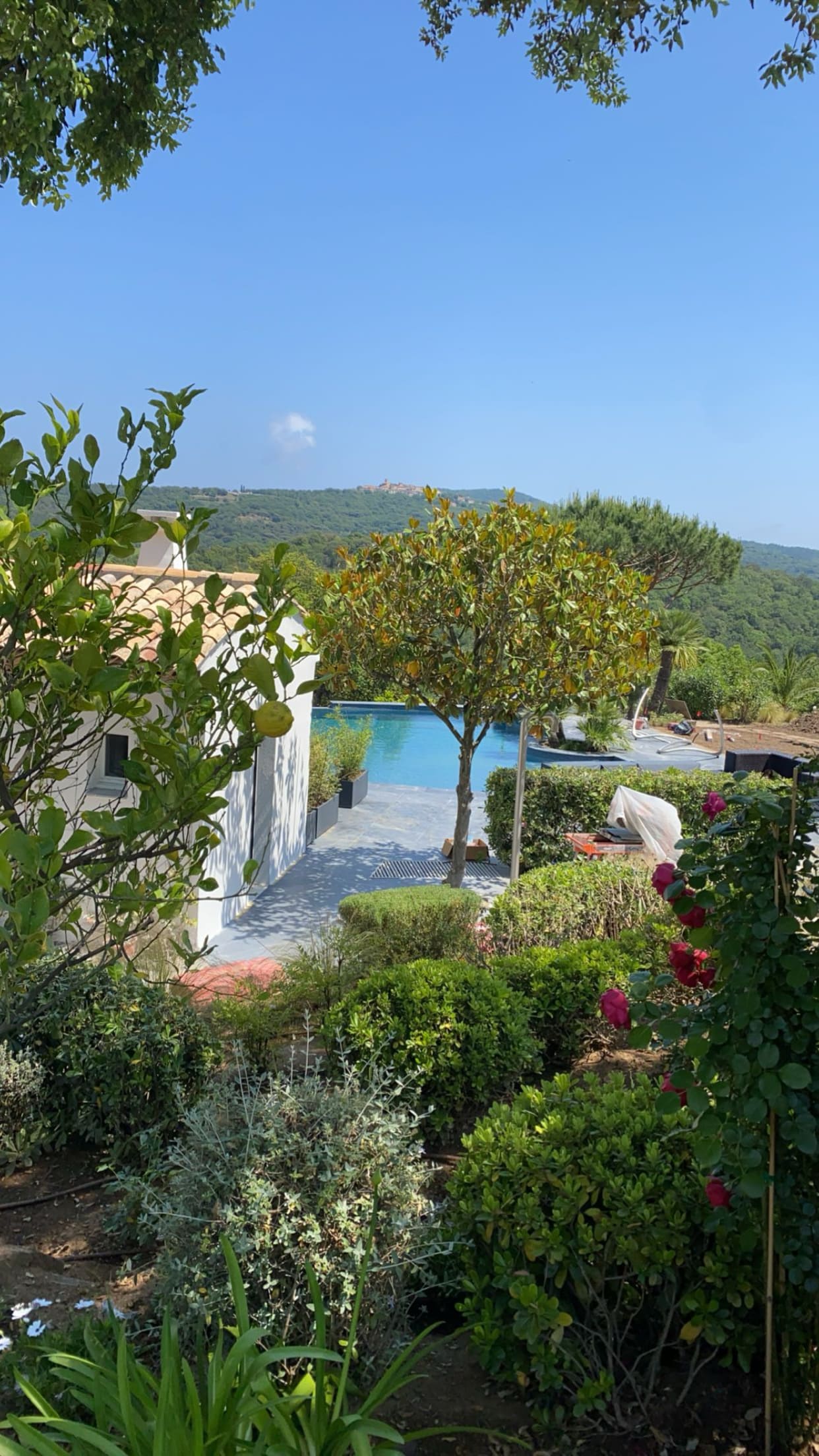 Aménagement paysager fleuri avec piscine à débordement dans le secteur d'Aiguebelle au Lavandou.
