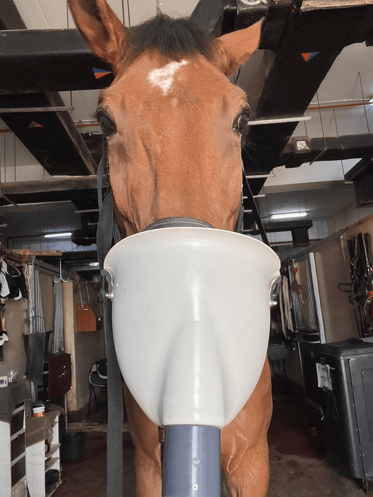 Close-up of a green palm leaf with intricate veining and texture, showcasing rich shades of green.