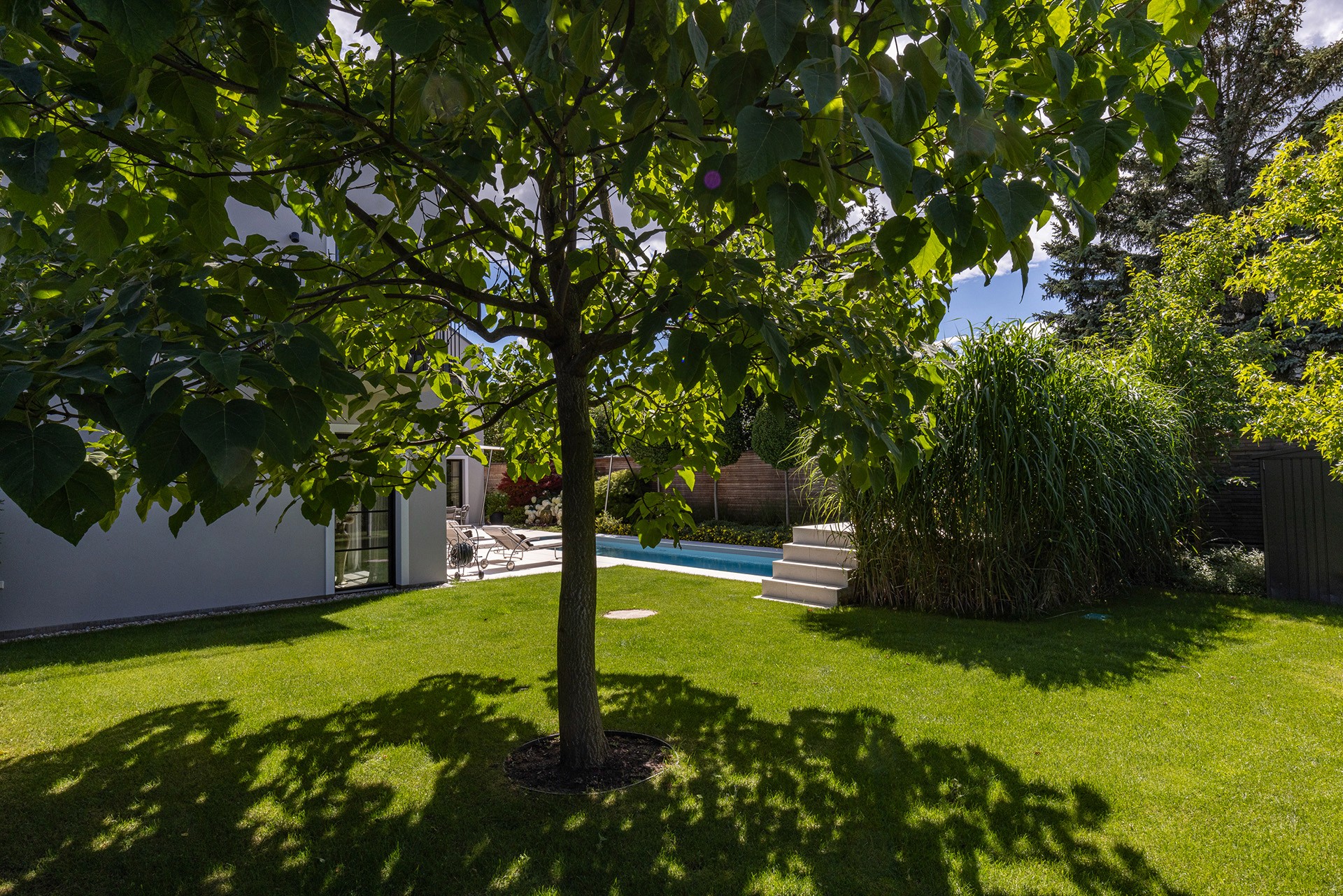 Große Rasenfläche mit schattenspendendem Baum und Blick auf den Poolbereich.