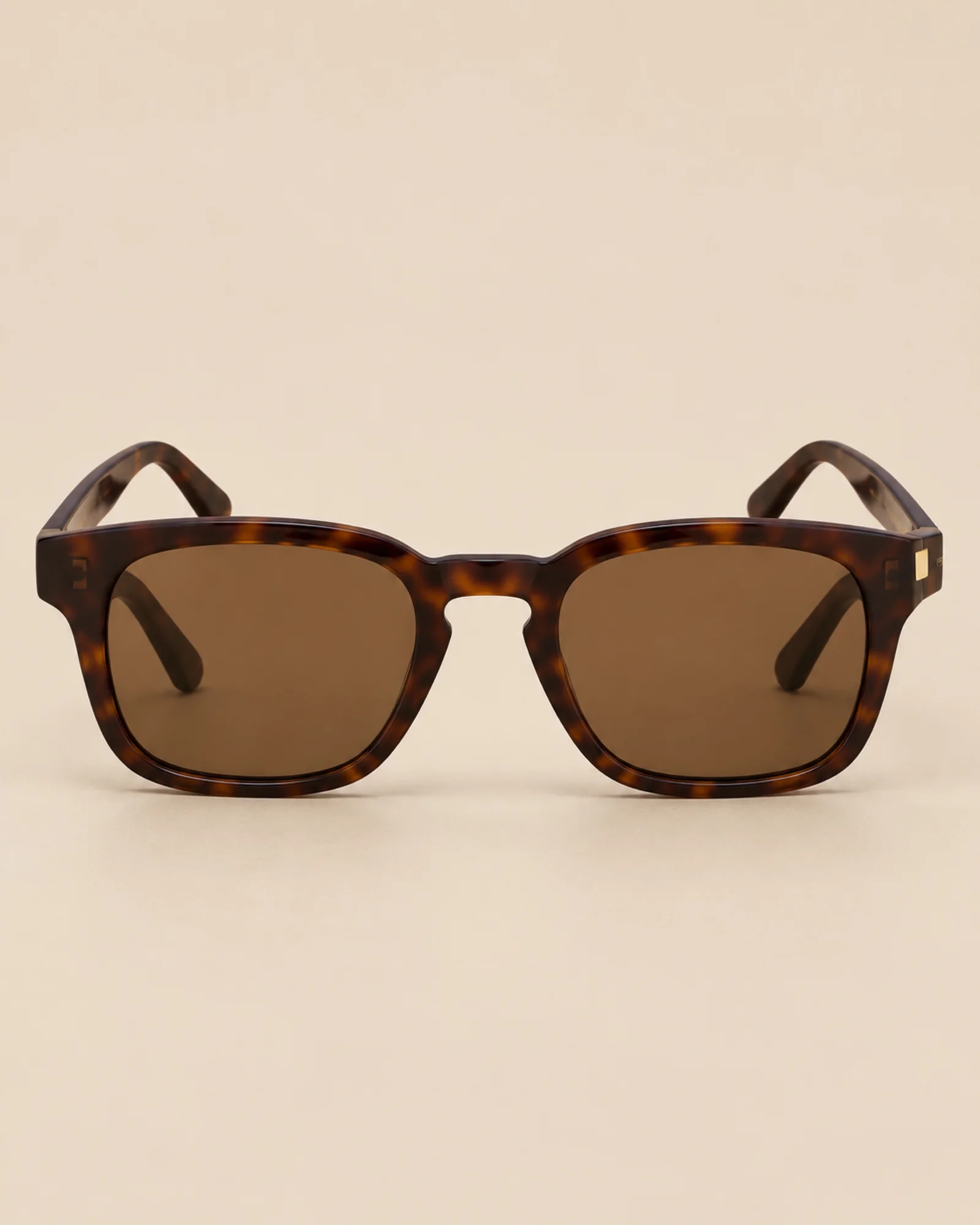Marina sunglasses in Tortoise