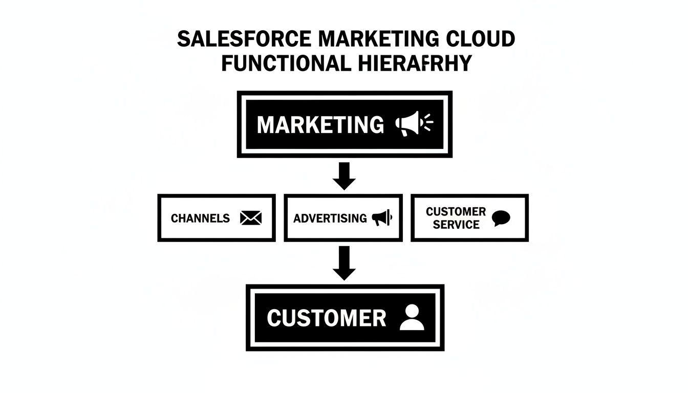 A black and white diagram illustrates the Salesforce Marketing Cloud functional hierarchy from Marketing to Customer.