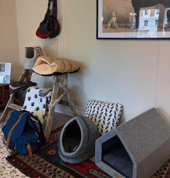 Begagnade hundbäddar och tillbehör till salu i secondhandbutiken Tassa och Trava.