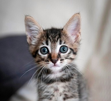 Thumbs up from lab technician for successful chemical delivery
