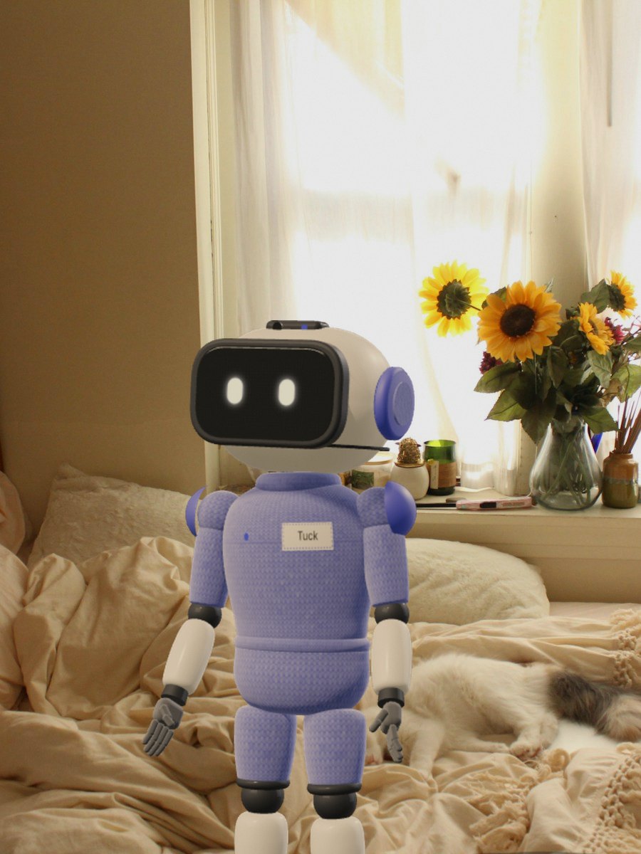 Tuck in a real home: Guest room · sheets changed, cat undisturbed