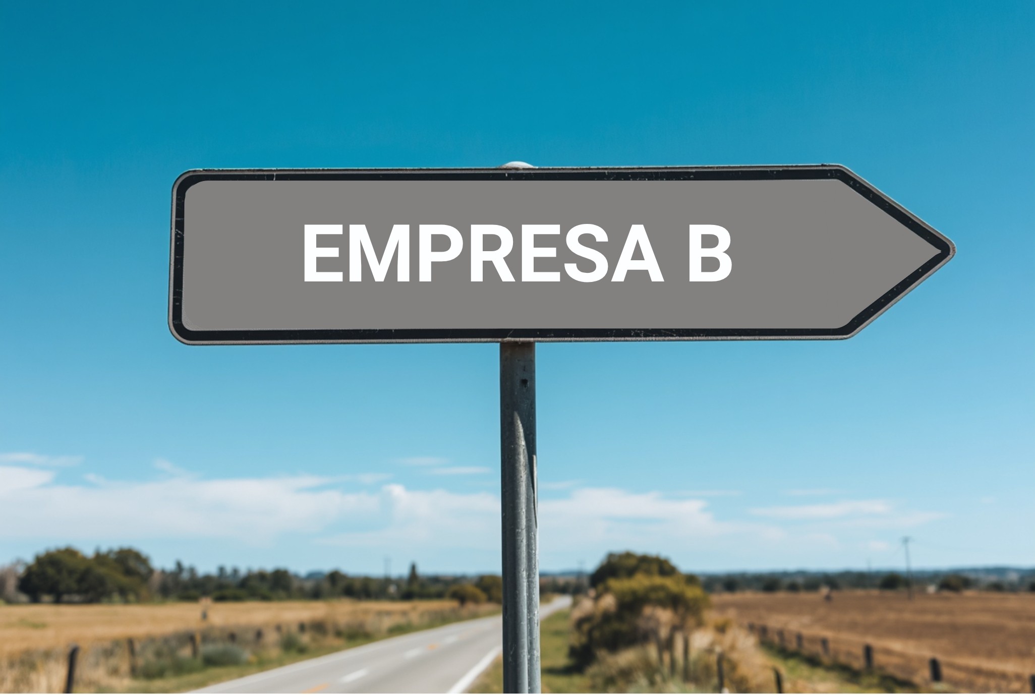Camino hacia Empresa B