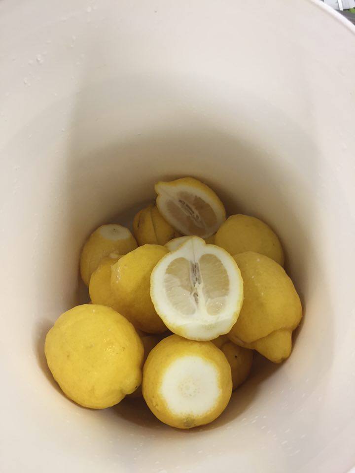 Cut Lemons