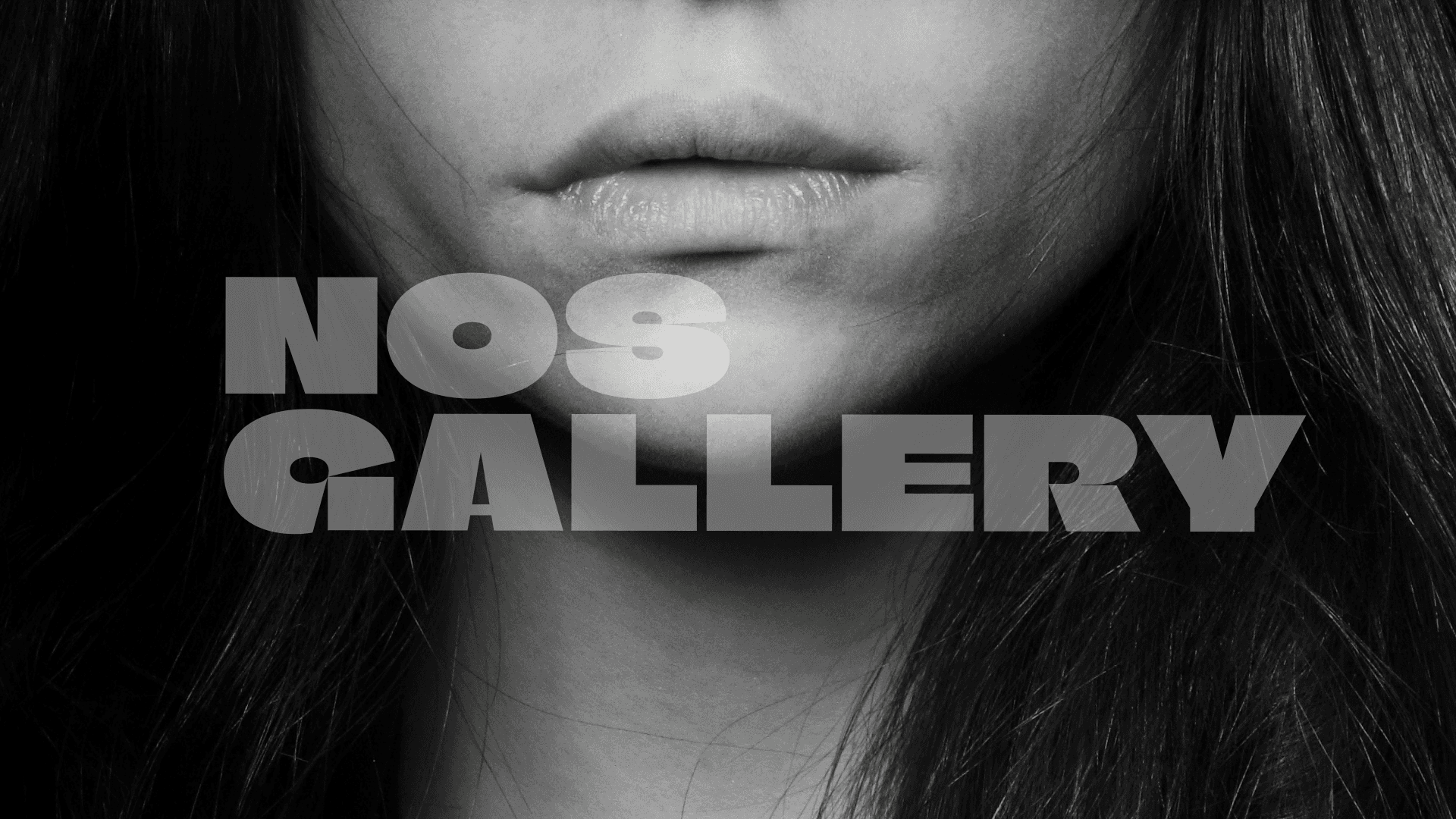 Gallery example image