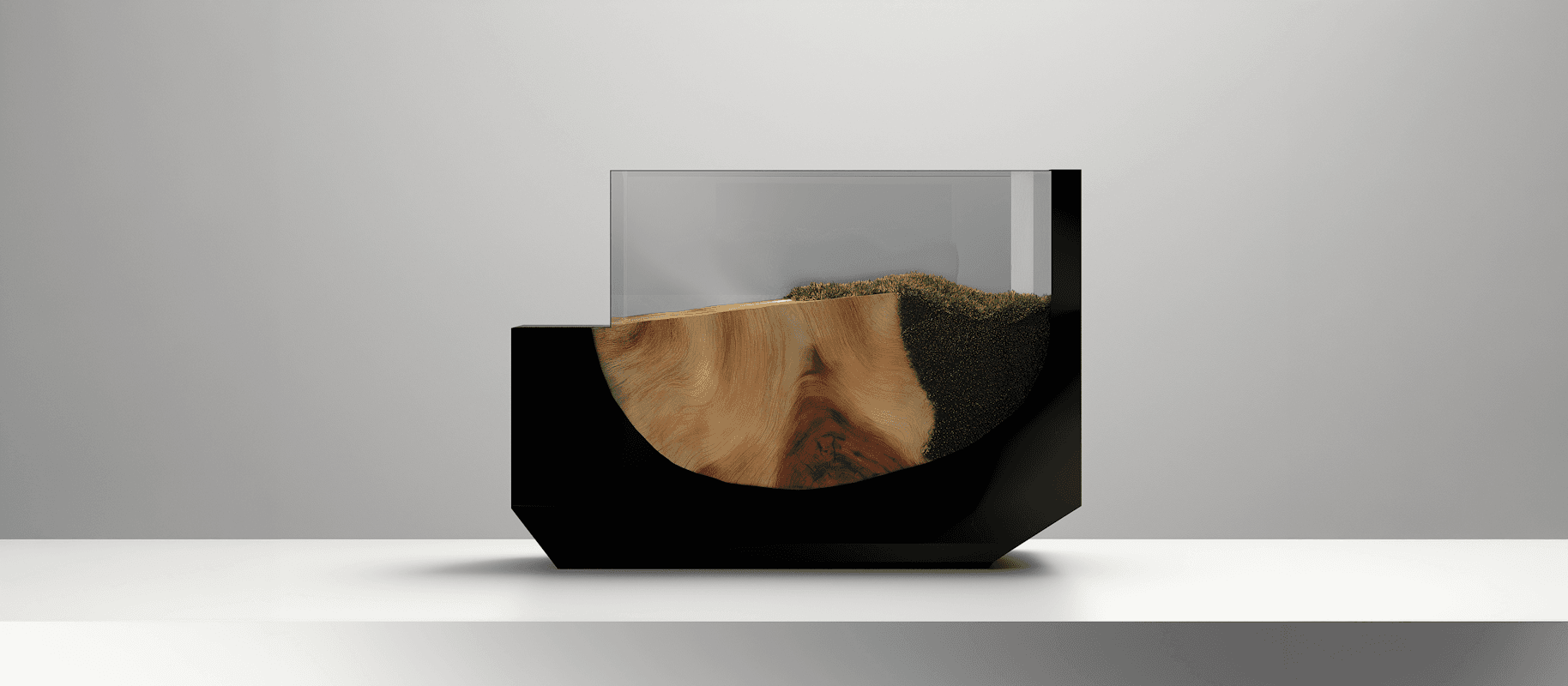 Modern terrarium display