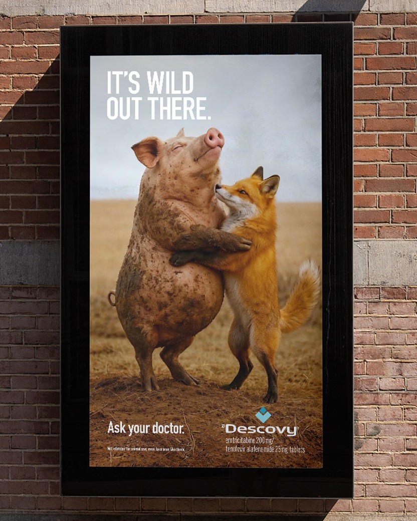 A poster featuring a bear and a dog playfully interacting in a natural setting.