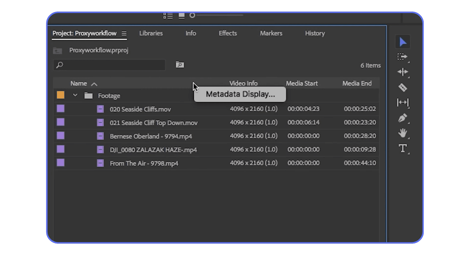 Premiere Pro project panel displaying video clips metadata and resolution details