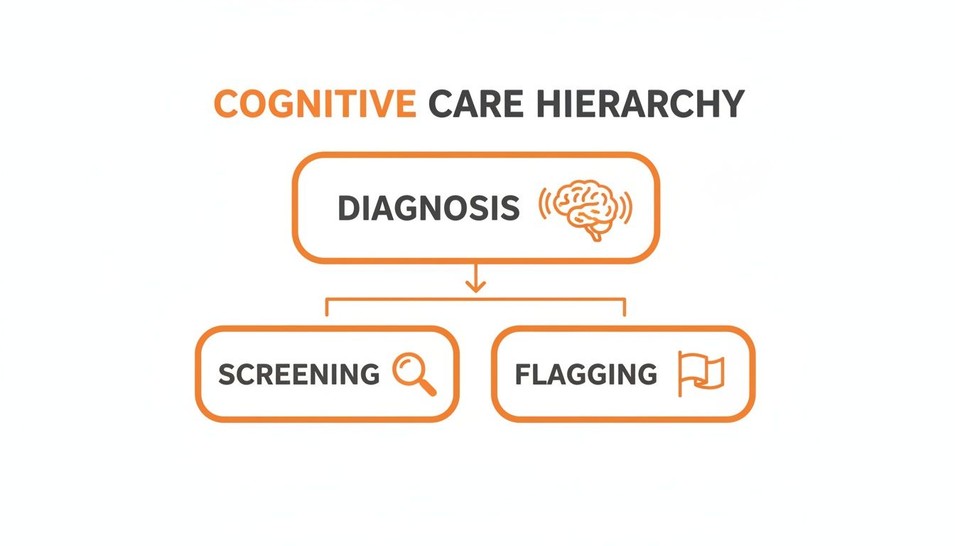 Flowchart illustrating the cognitive care hierarchy: Diagnosis leads to Screening or Flagging steps.