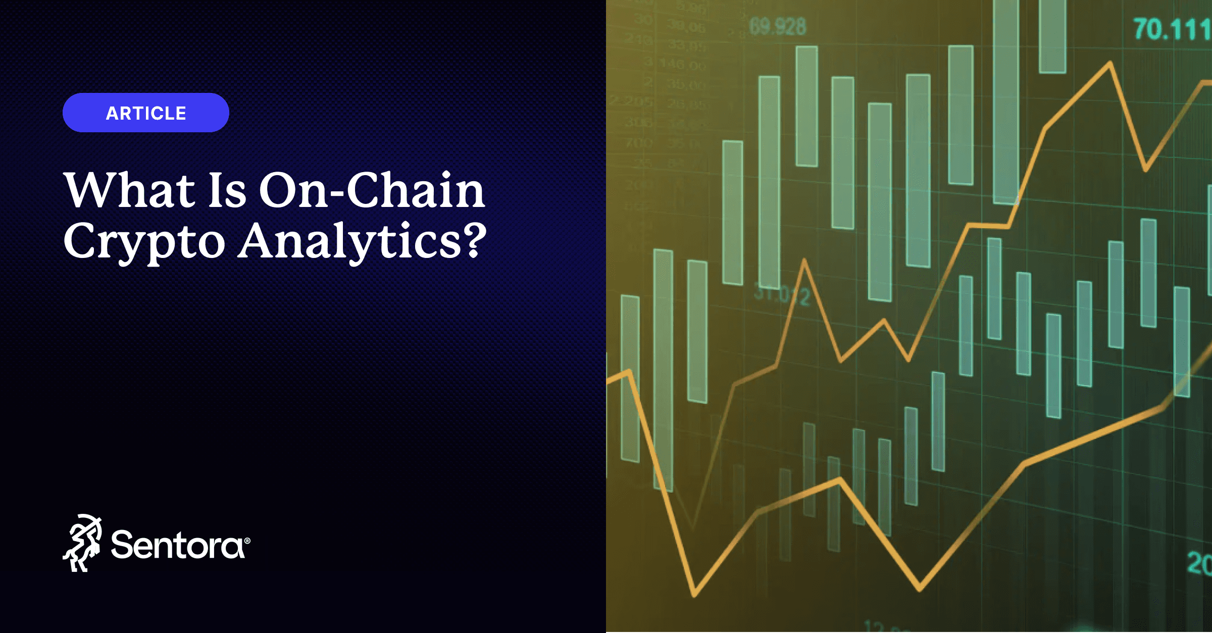 What Is On-Chain Crypto Analytics? - Sentora Research | Exploring the  Future of Blockchain and DeFi