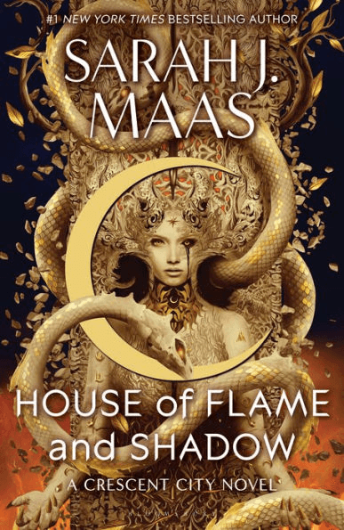 House of Flame and Shadow book