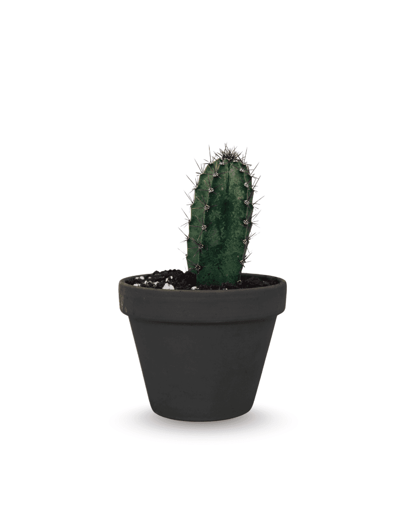 Black Small Clay Pot