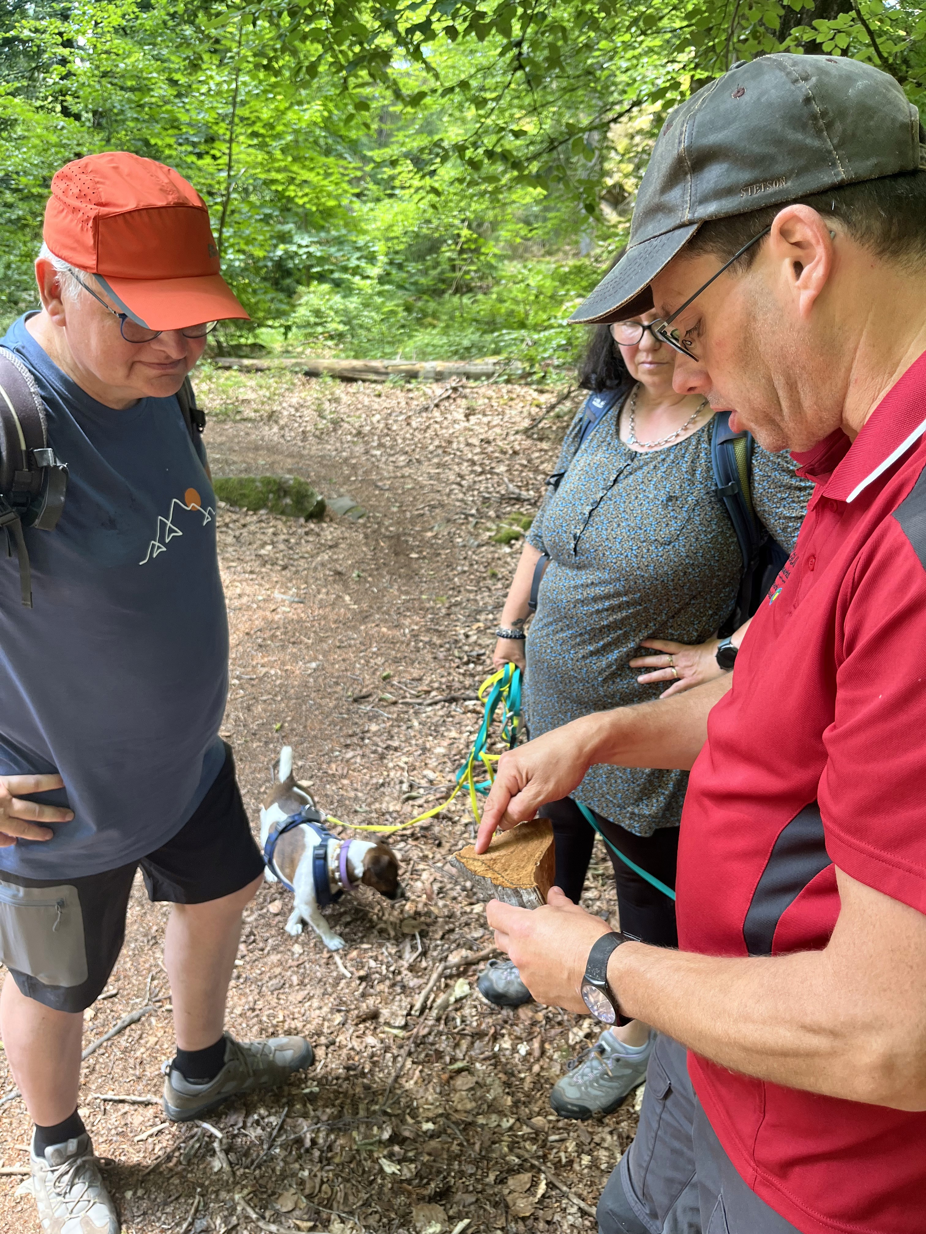 Hier erklärt Sascha die Besonderheiten eines Baumpilz