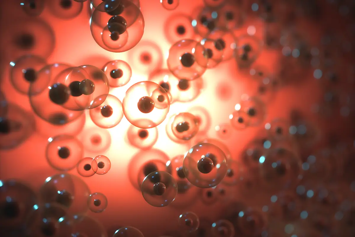 Bild von Stammzellen mit Schutz