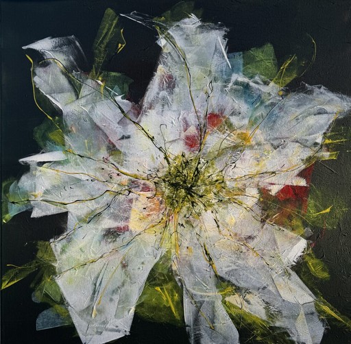 Bild konnte nicht geladen werden