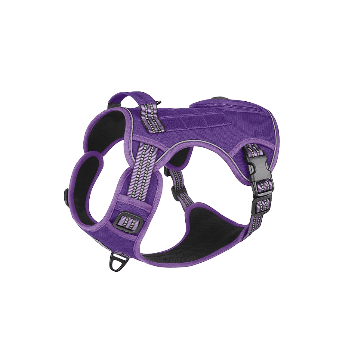 Purple / S