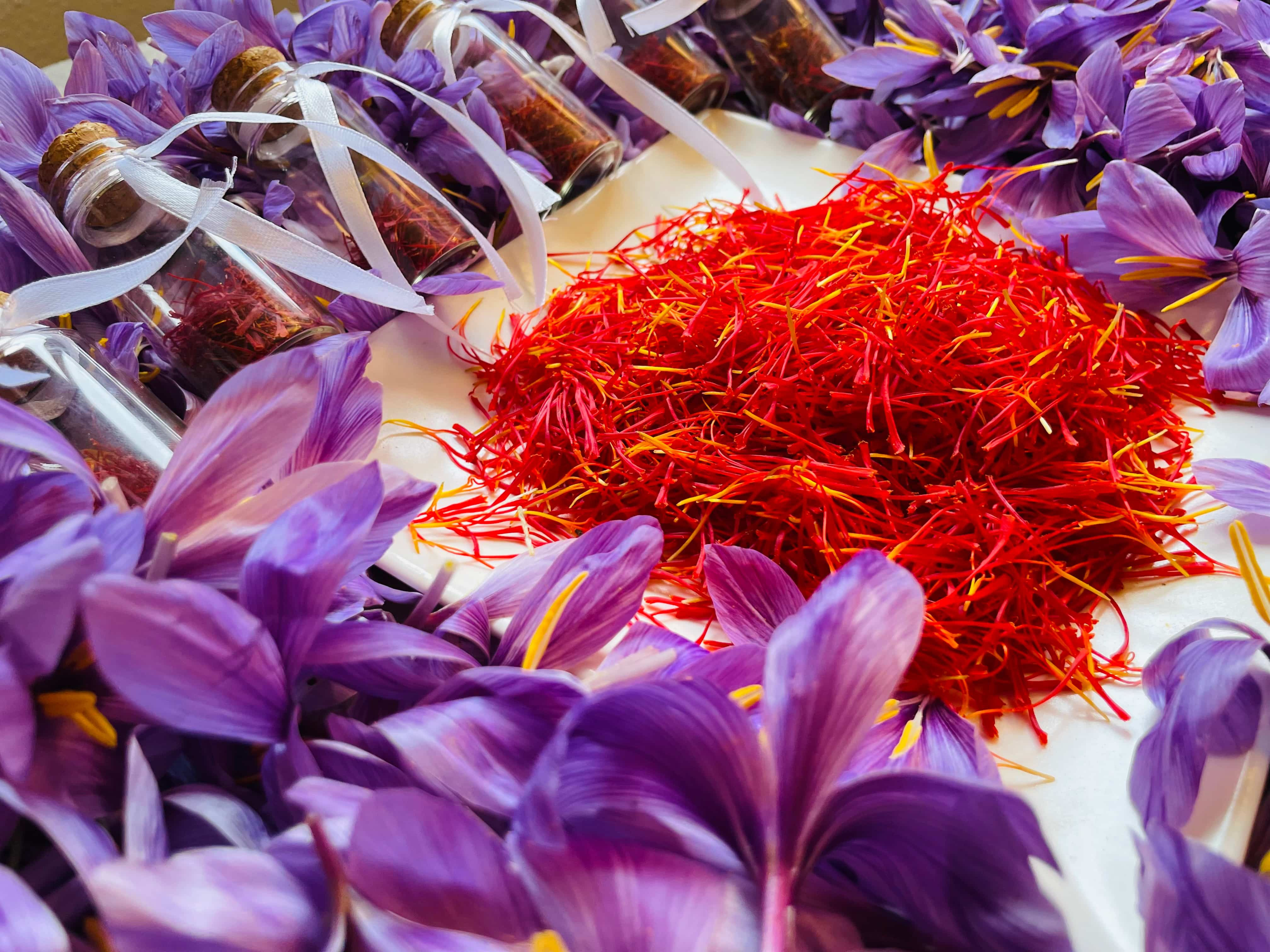 Spanish saffron threads and flowers from our estate