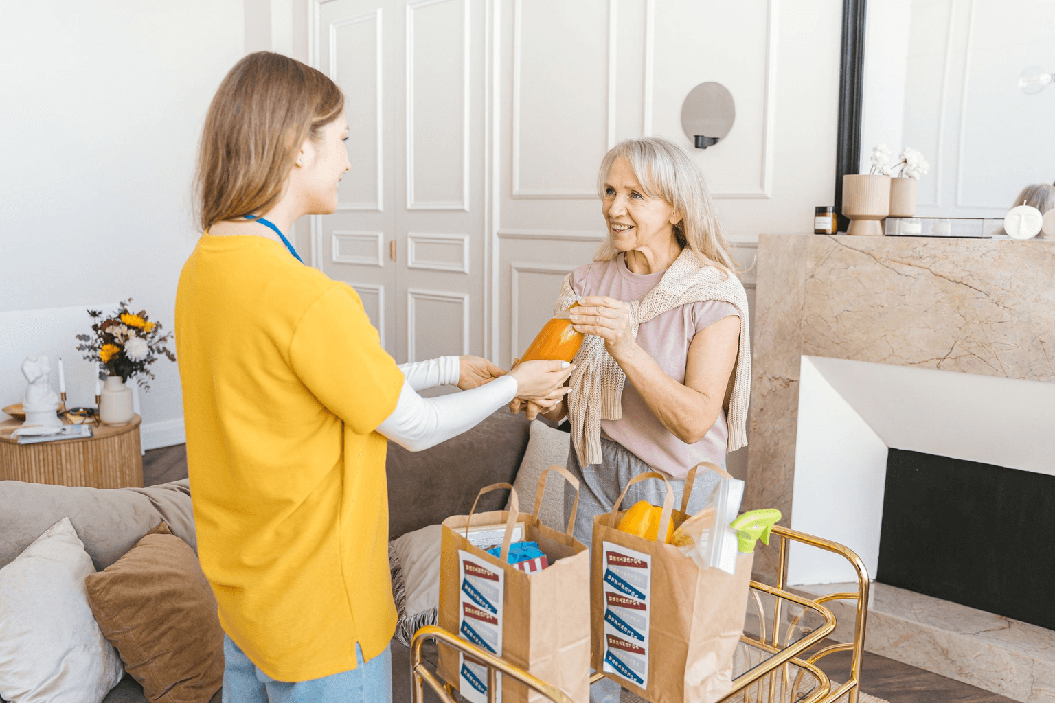 A companion carer handing over the shopping in an older woman's living room, grocery bags on the trolley beside them.
