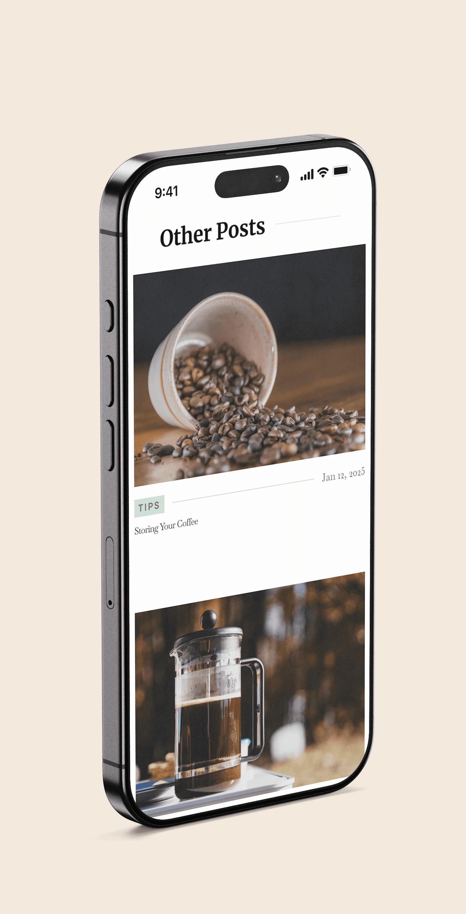 Phone Mockup Wagonga Website