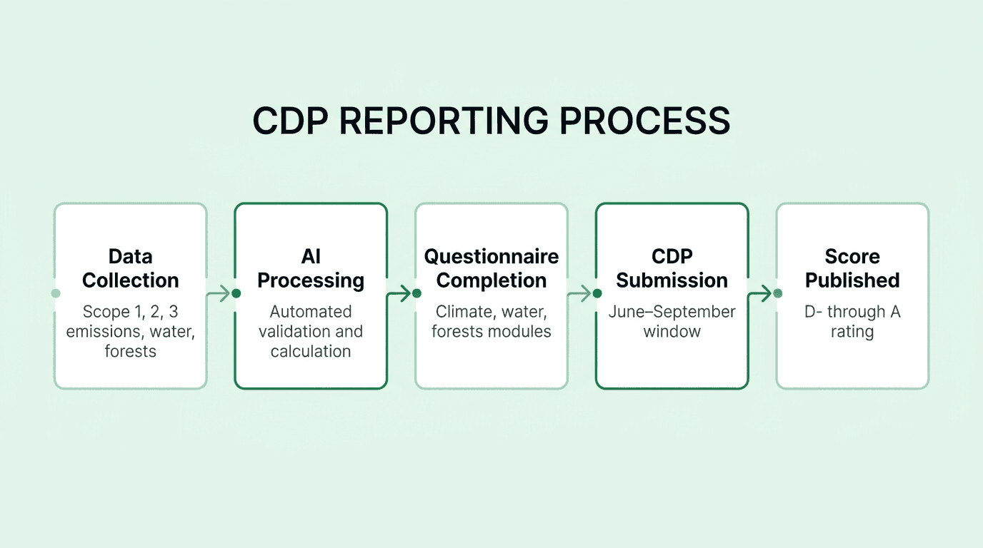 CDP reporting process from data collection through submission and scoring