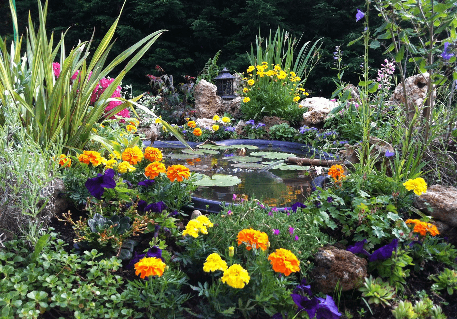 Landscaper and Landscaping gardening service template framer by real mehedi