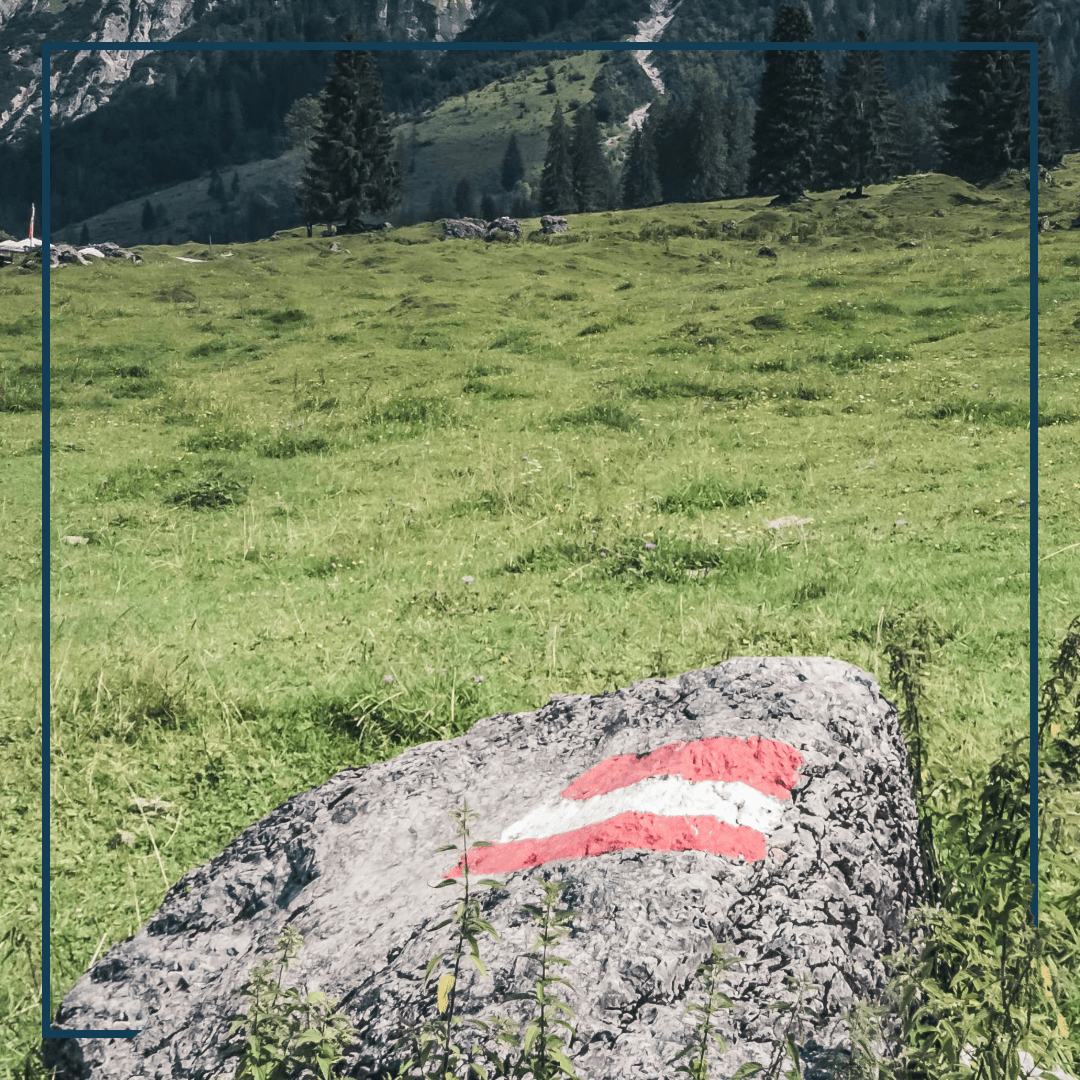 Ein Stein mit Österreichflaggen auf einer Wiese