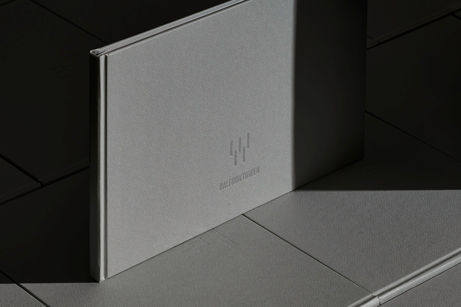 A minimalistic gray hardcover book for Balfron Tower rests in dramatic shadow and light, showcasing its textured cover and subtle embossed design.