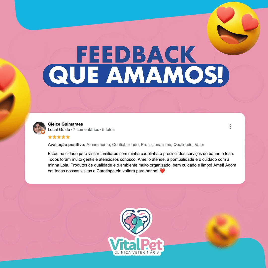 Feedback positivo na Vital Pet Clínica Veterinária - Comentários de clientes satisfeitos com o atendimento e os serviços oferecidos, incluindo consultas, vacinas e procedimentos veterinários.