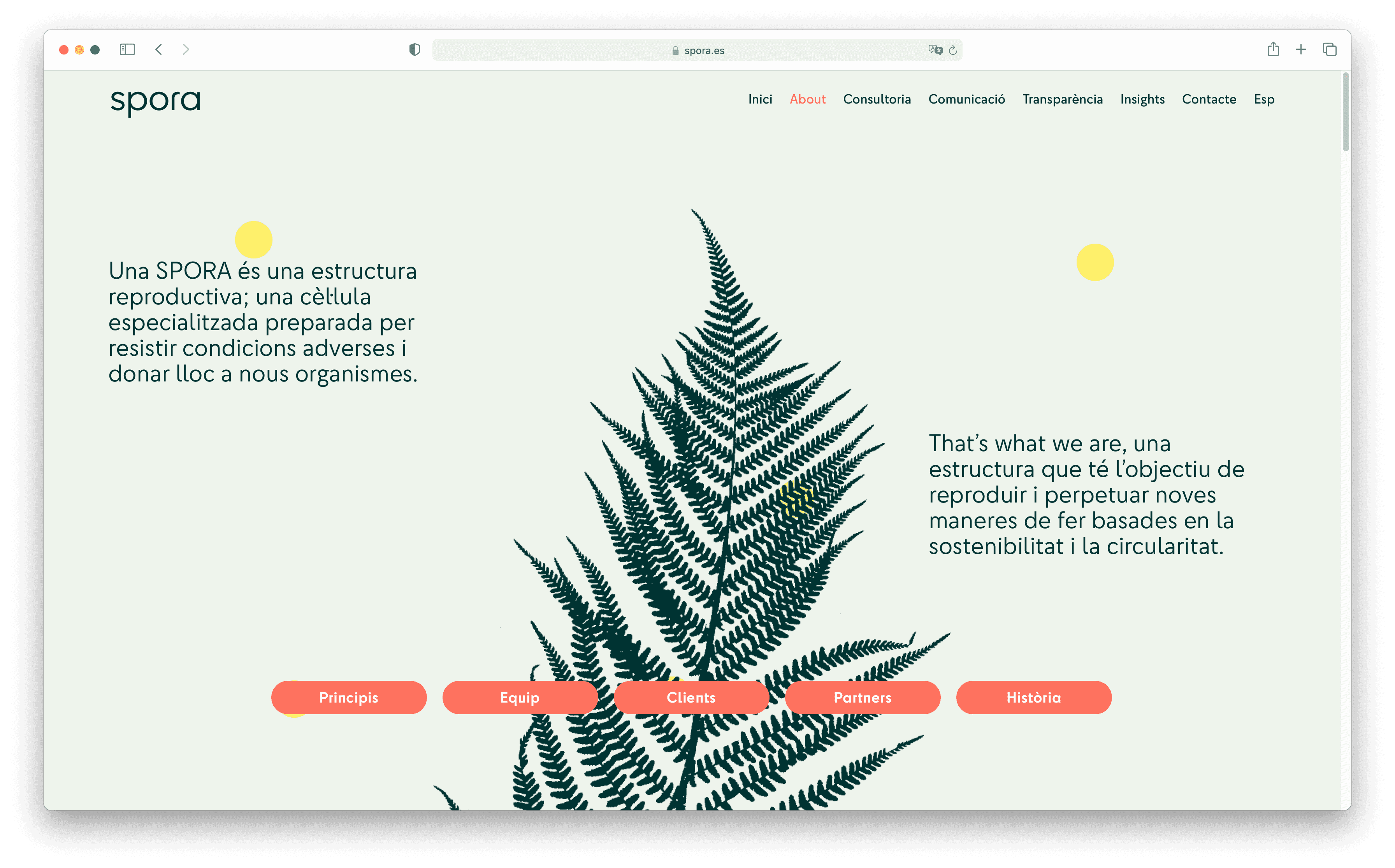 spora-insights-evolucio-esencia-estrategia-1