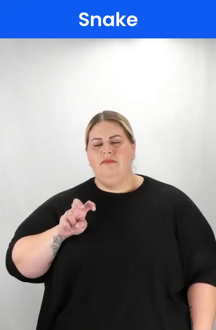 A Deaf signer signs SNAKE in ASL