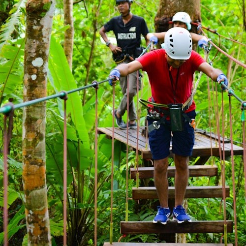 两个人在郁郁葱葱的森林中走过一座绳索桥，后面有一位教练在观察。他们都戴着头盔和安全带。