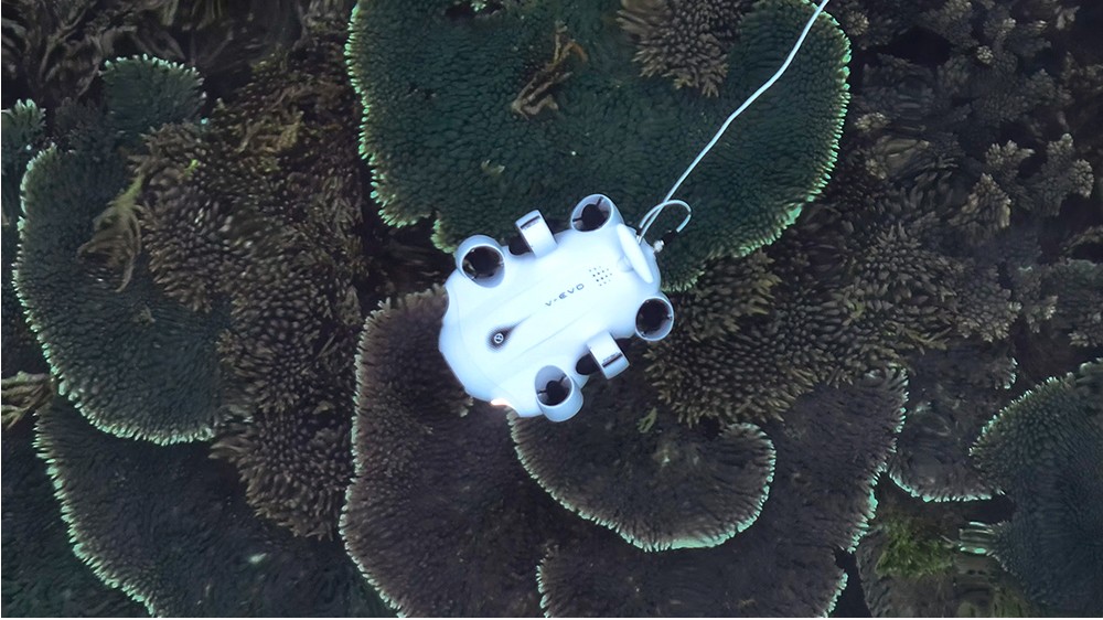 Autonomiczny dron ROV V-EVO stosowany do monitorowania ekosystemów morskich i jakości wody.