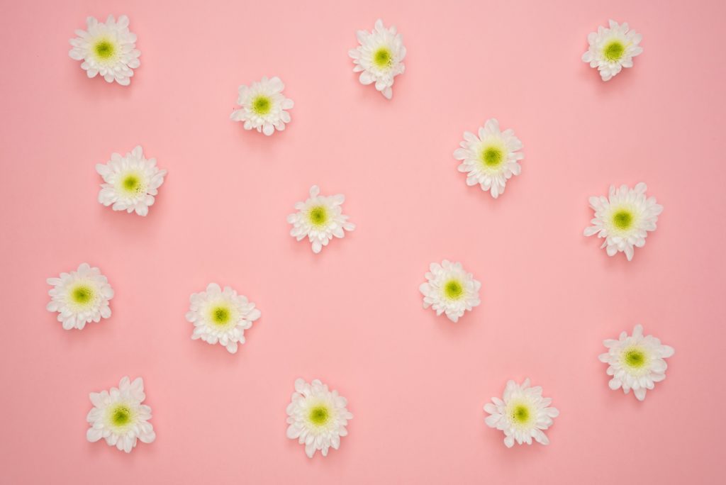 Branding Colors pink
