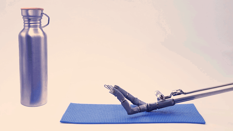 Laptop showing Bloomy UI