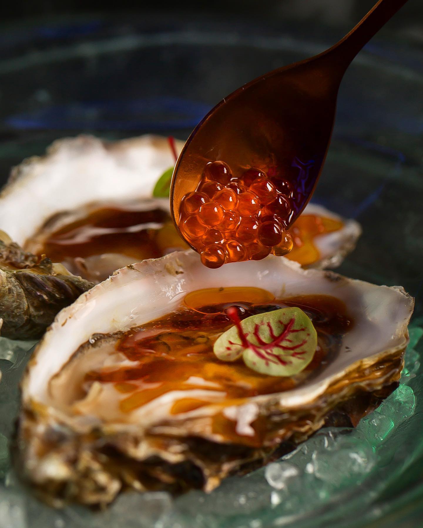 fotografía profesional restauración