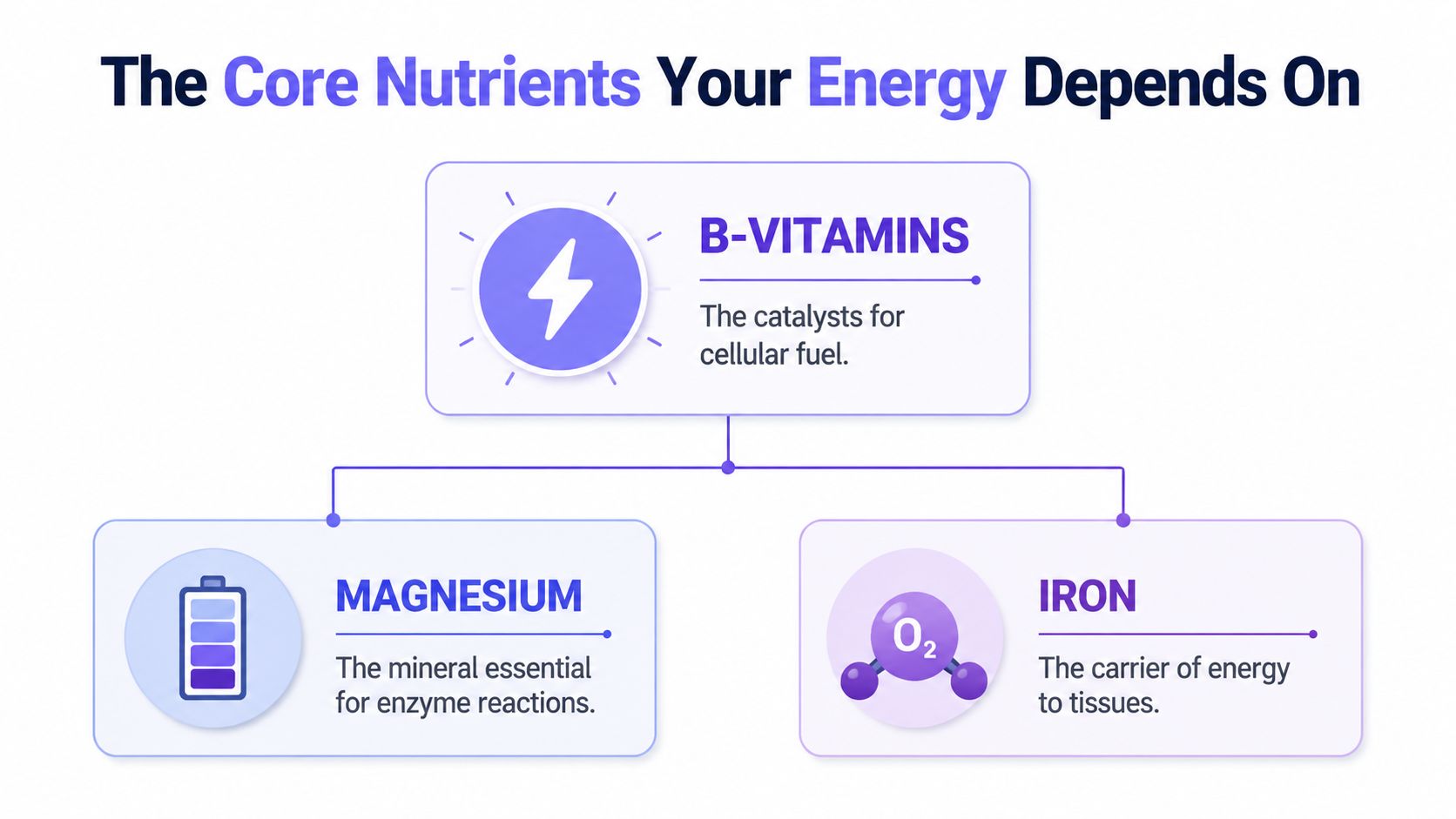 An infographic showing that B-vitamins, magnesium, and iron are the core nutrients essential for energy production.